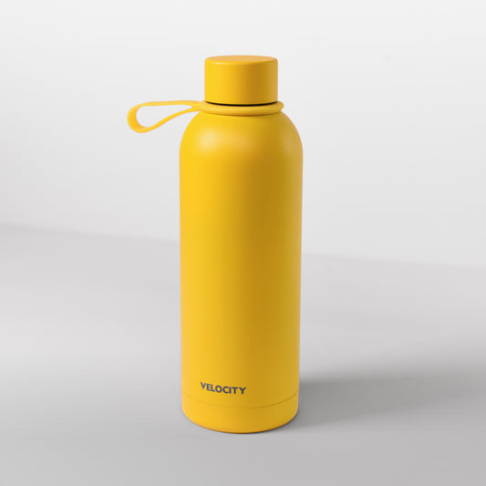 LEVIN Flask 500ml With Neck Handle